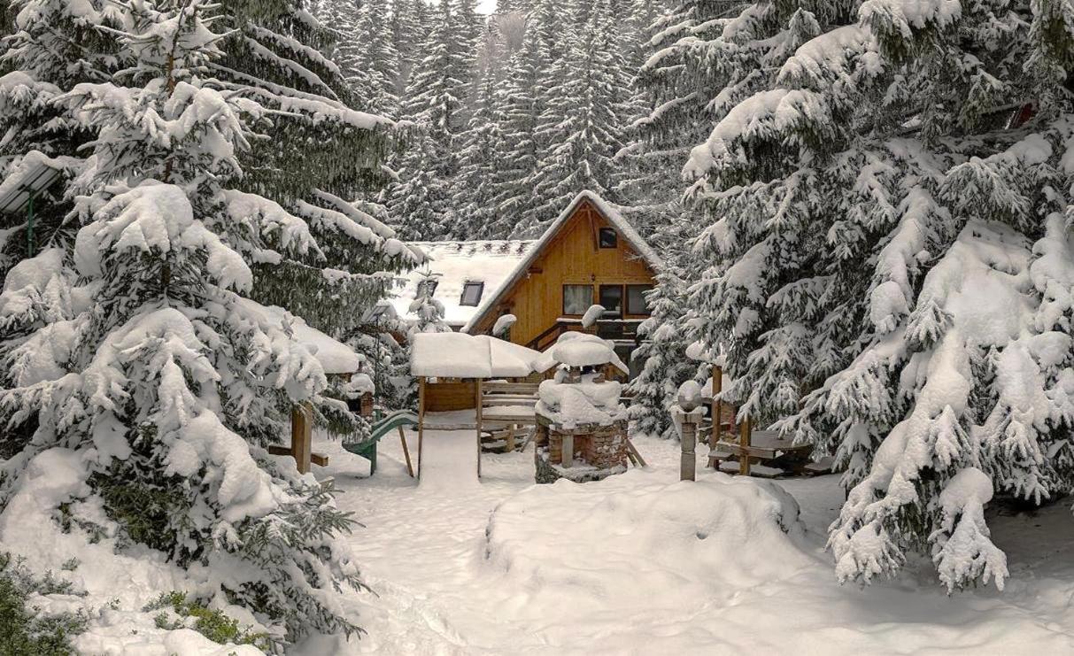 Traveland Boutique Resort Poiana Brașov Exterior foto